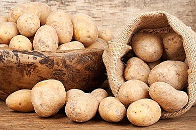 任天堂NSO高级会员世嘉游戏库 今日更新4 款游戏